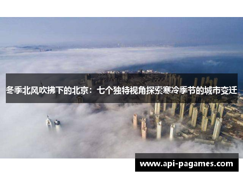冬季北风吹拂下的北京：七个独特视角探索寒冷季节的城市变迁