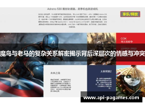 魔鸟与老马的复杂关系解密揭示背后深层次的情感与冲突