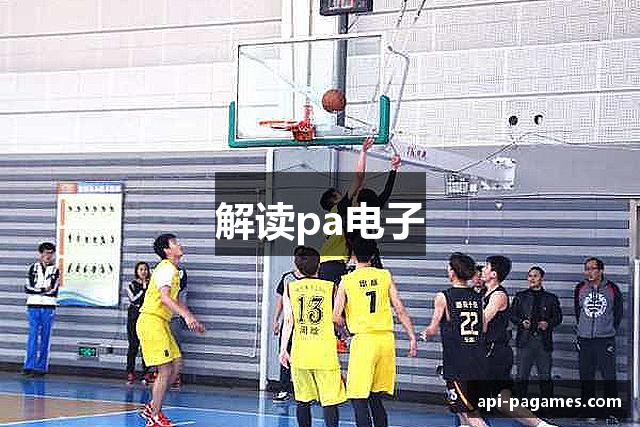 解读pa电子